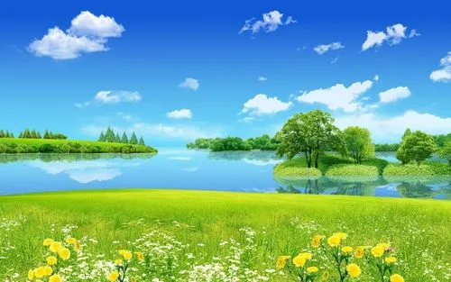 创意独特稳定性